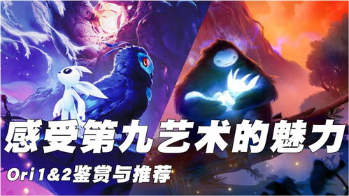 ori游戏1,探寻神秘世界的奇幻冒险之旅(图3) ori游戏1,探寻神秘世界的奇幻冒险之旅(图3)