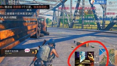 砸油条游戏,指尖上的竞技狂欢(图1) 砸油条游戏,指尖上的竞技狂欢(图1)