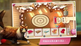 解压猫咪游戏手机安卓版下载v1.0.0 (图3)