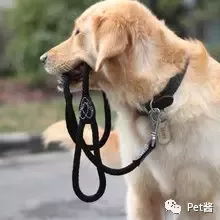 割绳子球球游戏中文版手机下载 (图3) 割绳子球球游戏中文版手机下载 (图3)