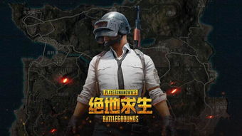 吃鸡游戏这是游戏,谁主沉浮?(图3) 吃鸡游戏这是游戏,谁主沉浮?(图3)