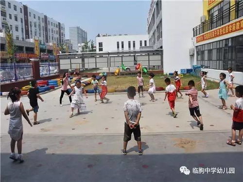 临朐游戏,探寻古韵新篇的智慧之旅(图3) 临朐游戏,探寻古韵新篇的智慧之旅(图3)