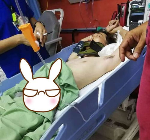 围殴小游戏,激情四溢的竞技对决(图1) 围殴小游戏,激情四溢的竞技对决(图1)