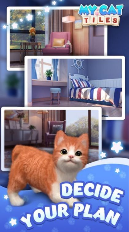 新猫猫游戏,探索奇幻猫界之旅(图1) 新猫猫游戏,探索奇幻猫界之旅(图1)