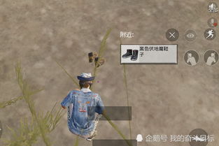 游戏步伐,探索虚拟世界的节奏与魅力(图3) 游戏步伐,探索虚拟世界的节奏与魅力(图3)