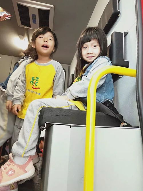 盲人摸象游戏亲子游戏,开启视觉与触觉的奇妙之旅(图3)