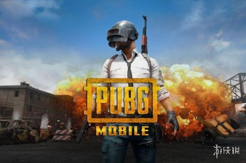 pubg比赛游戏,战火燃尽最后一刻(图2)