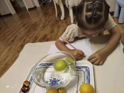 小班科学游戏光影游戏,小班光影游戏乐趣多(图3) 小班科学游戏光影游戏,小班光影游戏乐趣多(图3)