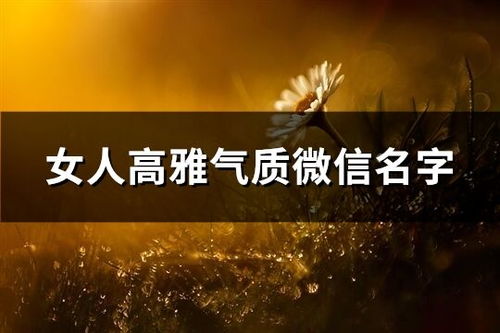 一个字的游戏名字诗意,探寻“一字游戏”的奇幻之旅(图3) 一个字的游戏名字诗意,探寻“一字游戏”的奇幻之旅(图3)