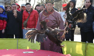 大斗鸡游戏,智慧对决的欢乐盛宴(图1) 大斗鸡游戏,智慧对决的欢乐盛宴(图1)