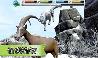 白雪豹游戏,冰雪奇缘中的冒险之旅(图1) 白雪豹游戏,冰雪奇缘中的冒险之旅(图1)