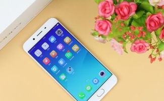 x9和r9s哪个玩游戏好,谁才是游戏利器?(图2) x9和r9s哪个玩游戏好,谁才是游戏利器?(图2)