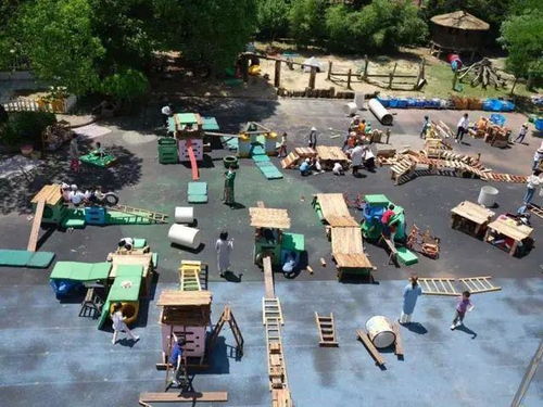 广州安吉游戏,创新教育理念下的幼儿成长之旅(图1) 广州安吉游戏,创新教育理念下的幼儿成长之旅(图1)