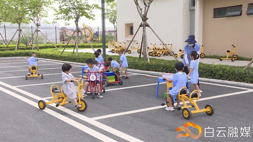 广州安吉游戏,创新教育理念下的幼儿成长之旅(图3) 广州安吉游戏,创新教育理念下的幼儿成长之旅(图3)