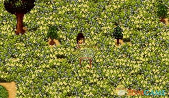 野花游戏,体验生态乐趣(图1) 野花游戏,体验生态乐趣(图1)