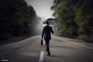 求职之路游戏,解锁人生新篇章(图1) 求职之路游戏,解锁人生新篇章(图1)