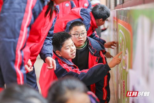 迷宫桌面游戏,桌面游戏中的智慧与勇气之旅(图3) 迷宫桌面游戏,桌面游戏中的智慧与勇气之旅(图3)