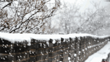 雨夹雪游戏,冰雪奇缘的竞技冒险之旅(图3) 雨夹雪游戏,冰雪奇缘的竞技冒险之旅(图3)