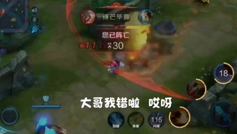 护送性游戏,探索护送性游戏的乐趣与教育价值(图3)