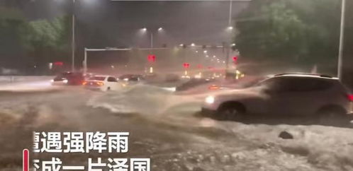 游戏粪池,揭秘那些被遗忘的角落与传奇故事(图2) 游戏粪池,揭秘那些被遗忘的角落与传奇故事(图2)