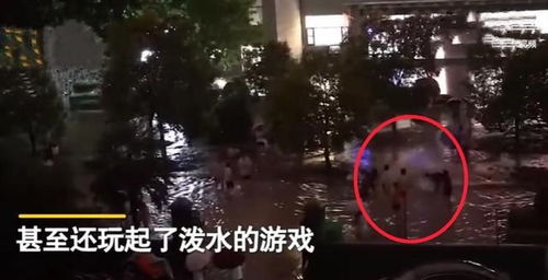 游戏粪池,揭秘那些被遗忘的角落与传奇故事(图1) 游戏粪池,揭秘那些被遗忘的角落与传奇故事(图1)
