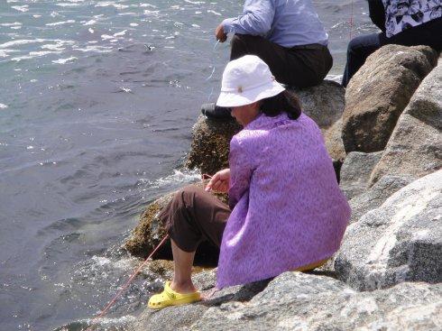 海边螃蟹游戏,一场别开生面的螃蟹游戏体验(图2) 海边螃蟹游戏,一场别开生面的螃蟹游戏体验(图2)