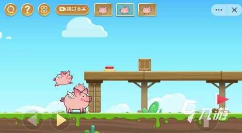 猪过关游戏,智慧挑战之旅(图3) 猪过关游戏,智慧挑战之旅(图3)