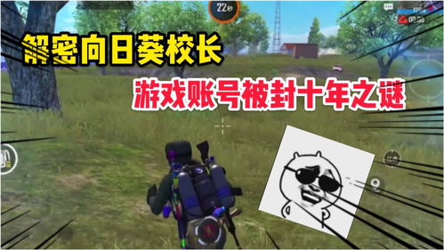 解密游戏葵,探寻真相的迷宫之旅(图2) 解密游戏葵,探寻真相的迷宫之旅(图2)