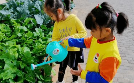 种植游戏小班,开启幼儿绿色成长之旅(图3) 种植游戏小班,开启幼儿绿色成长之旅(图3)