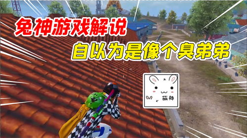 兔弟弟游戏,欢乐无限(图3) 兔弟弟游戏,欢乐无限(图3)
