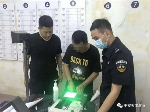 杨讯游戏,引领潮流的数字娱乐先锋(图3) 杨讯游戏,引领潮流的数字娱乐先锋(图3)
