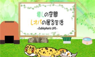 守宫游戏,一场智慧与策略的巅峰对决(图3) 守宫游戏,一场智慧与策略的巅峰对决(图3)