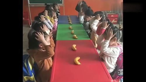 幼儿听说游戏的组织应注意的问题,促进语言发展(图3) 幼儿听说游戏的组织应注意的问题,促进语言发展(图3)