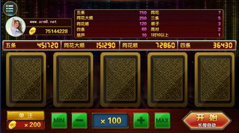 八百个游戏,探索无限娱乐世界(图2) 八百个游戏,探索无限娱乐世界(图2)