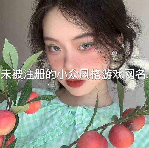 小众网名游戏,揭秘小众网名背后的故事(图3) 小众网名游戏,揭秘小众网名背后的故事(图3)