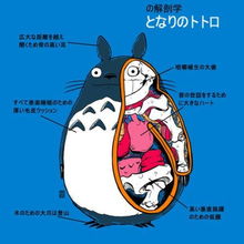 真实解剖游戏,真实解剖游戏深度解析(图1) 真实解剖游戏,真实解剖游戏深度解析(图1)