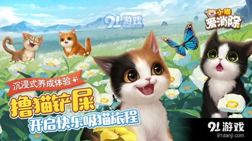 猫唯美游戏,唯美游戏中的奇幻之旅(图1) 猫唯美游戏,唯美游戏中的奇幻之旅(图1)