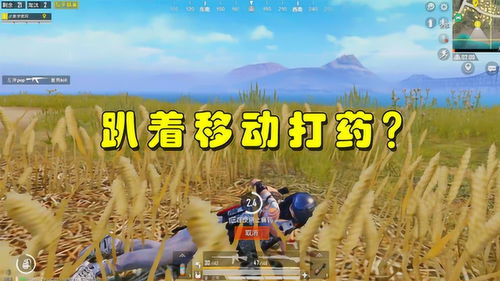 游戏打药,游戏中的医疗奇迹之旅(图2)
