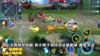 莲游戏解说,探寻神秘莲花世界的奇幻之旅(图1) 莲游戏解说,探寻神秘莲花世界的奇幻之旅(图1)