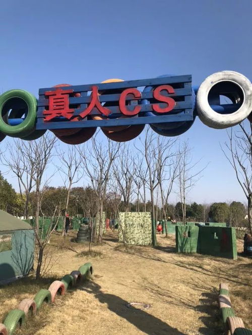 英国场地游戏,探索英国传统场地游戏的魅力与历史(图3) 英国场地游戏,探索英国传统场地游戏的魅力与历史(图3)