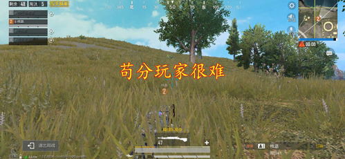 枝桠游戏,探索虚拟世界的无限可能(图2)