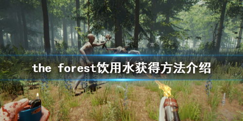 森林游戏鱼塘,探寻自然与娱乐的完美融合(图1) 森林游戏鱼塘,探寻自然与娱乐的完美融合(图1)