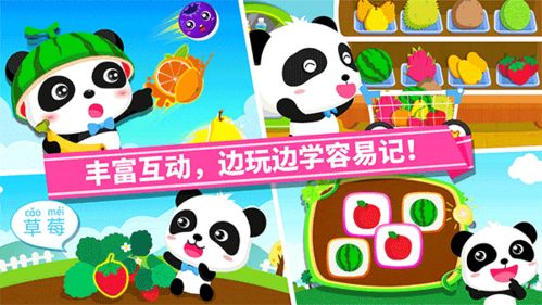 名字认识游戏,揭秘幻域传说的奇幻冒险之旅(图3) 名字认识游戏,揭秘幻域传说的奇幻冒险之旅(图3)