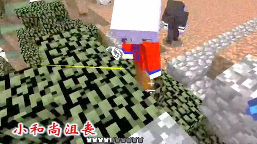 鞘翅小游戏,探索神秘昆虫世界的奇幻冒险之旅(图1) 鞘翅小游戏,探索神秘昆虫世界的奇幻冒险之旅(图1)