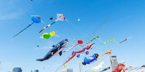 风筝艇游戏,冲浪天空的极限冒险之旅(图3) 风筝艇游戏,冲浪天空的极限冒险之旅(图3)