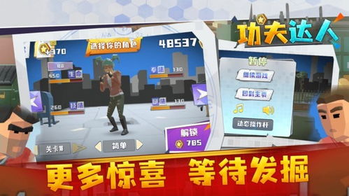 功夫达人游戏,成就武林传奇(图1) 功夫达人游戏,成就武林传奇(图1)