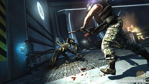 steam游戏情感,情感交织的虚拟冒险之旅(图3) steam游戏情感,情感交织的虚拟冒险之旅(图3)