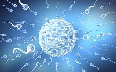 精子游戏攻略,解锁生育奥秘(图1)