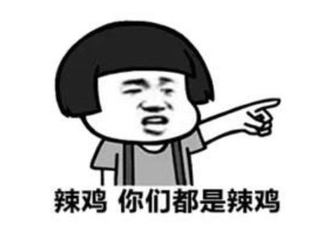 弟弟游戏骂人,弟弟的电子竞技之路(图3) 弟弟游戏骂人,弟弟的电子竞技之路(图3)