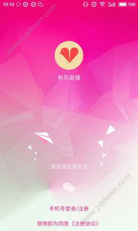 游戏鸟直播,尽享游戏盛宴(图2) 游戏鸟直播,尽享游戏盛宴(图2)